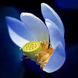 《赛博朋克2077》设计师谈为何用黄色当主题色：很容易被人记住